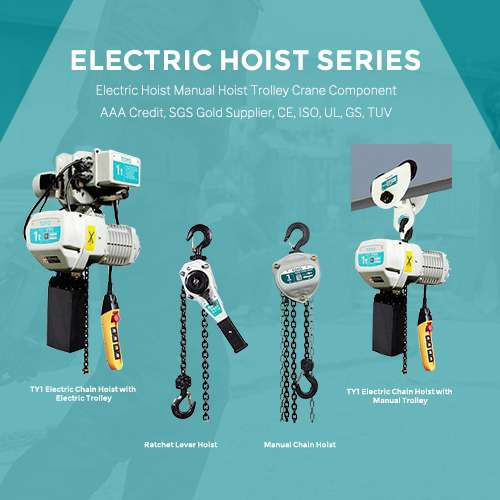 TOYO Brand The First And Largest Electic Hoist Manufacturer In Northern