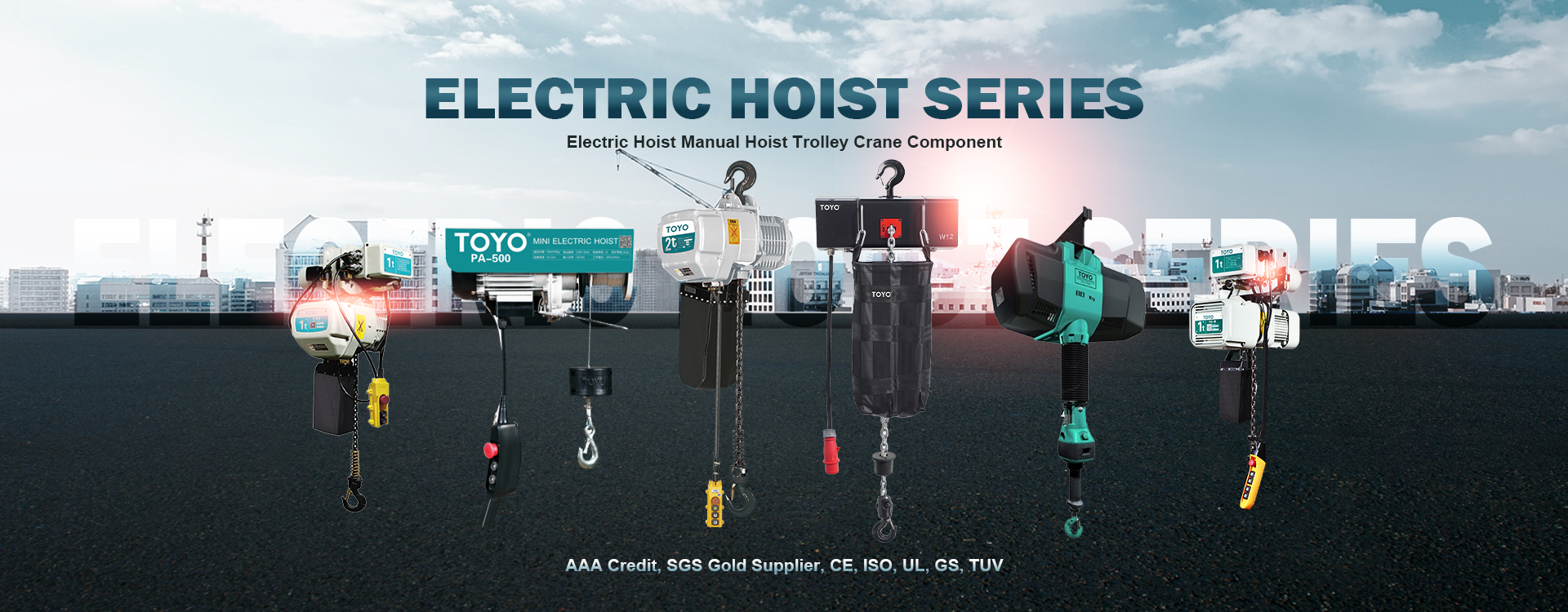 TOYO electric hoist